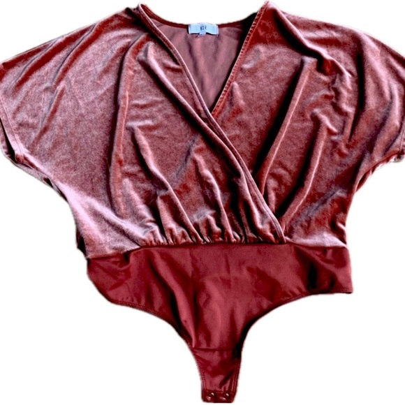 NSR Stretchy Velvet So Smooth Mauve Dusty Rose Pink Thong Bodysuit Sz S NWT - Picture 8 of 13